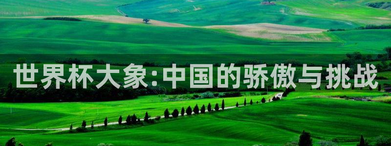 世界杯在线直播:世界杯大象:中国的骄傲与挑战