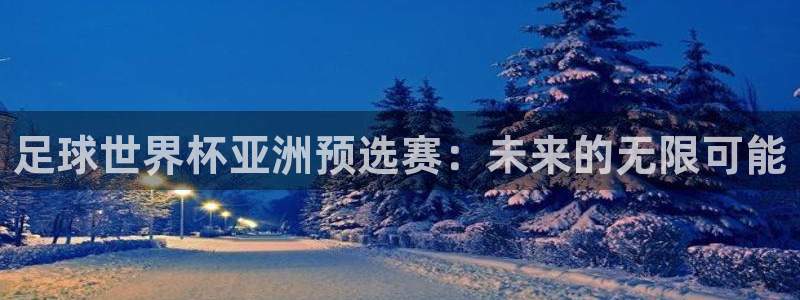 世界杯2026赛程时间表格:足球世界杯亚洲预选赛:未来的无限可能