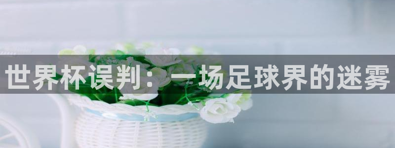 2026世界杯赛:世界杯误判:一场足球界的迷雾