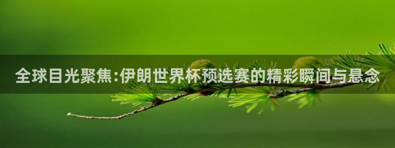 英格兰联赛杯直播:全球目光聚焦:伊朗世界杯预选赛的精彩瞬间与悬念