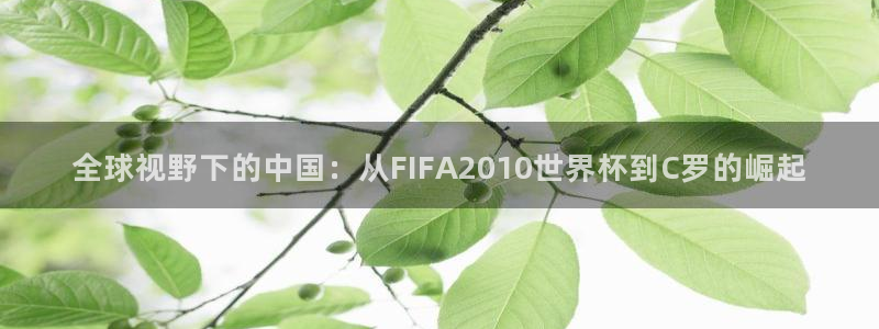世界杯2026预选赛:全球视野下的中国:从FIFA2010世界杯到C罗的崛起