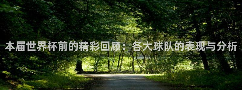 世界杯预选赛直播:本届世界杯前的精彩回顾:各大球队的表现与分析