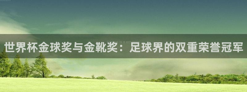 世界杯直播观看:世界杯金球奖与金靴奖:足球界的双重荣誉冠军