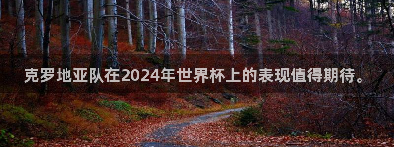 世界杯对阵表:克罗地亚队在2024年世界杯上的表现值得期待。