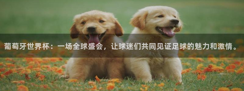 2026足球世界杯赛程时间表:葡萄牙世界杯:一场全球盛会,让球迷们共同见证足球的魅力和激情。